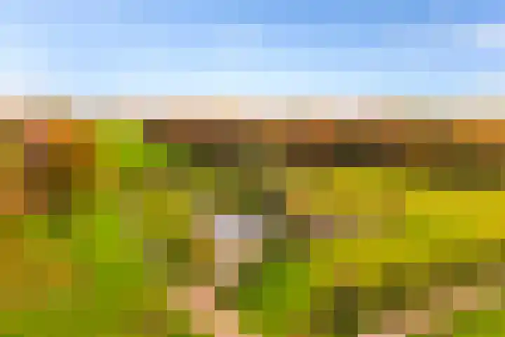 Hoevesteeg 34 Tonden thumbnail 82