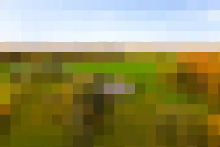 Hoevesteeg 34 Tonden thumbnail 83