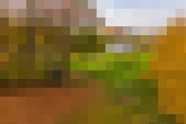 Hoevesteeg 34 Tonden thumbnail 84