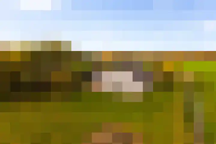 Hoevesteeg 34 Tonden thumbnail 87