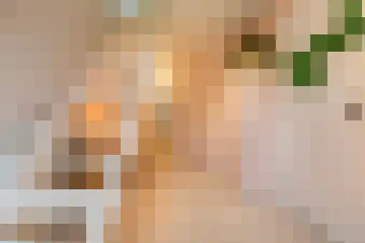 Hoevesteeg 34 Tonden thumbnail 9