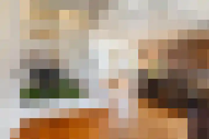 Hof 32 Bavel thumbnail 12
