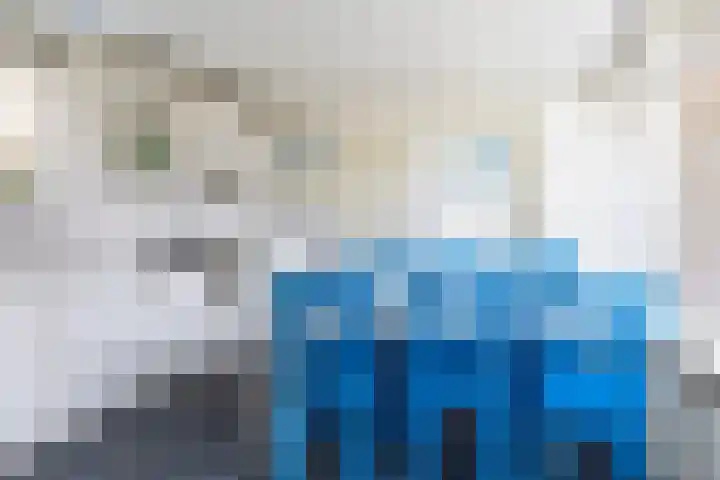 Hof 32 Bavel thumbnail 15