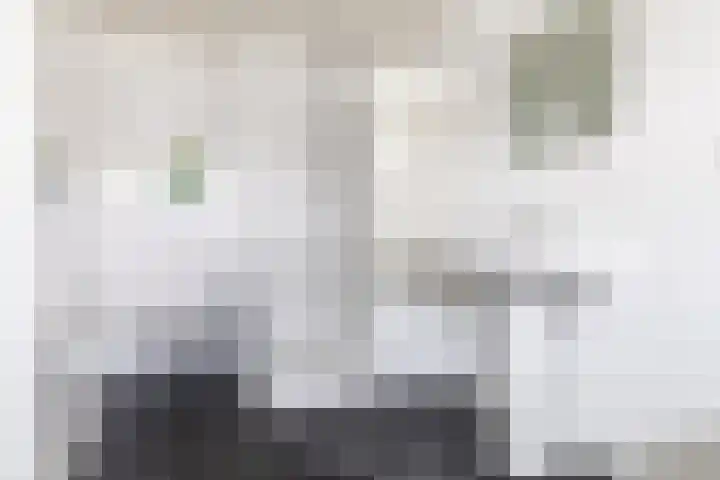 Hof 32 Bavel thumbnail 27