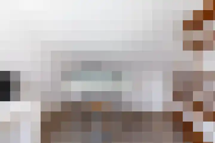 Hof 32 Bavel thumbnail 34
