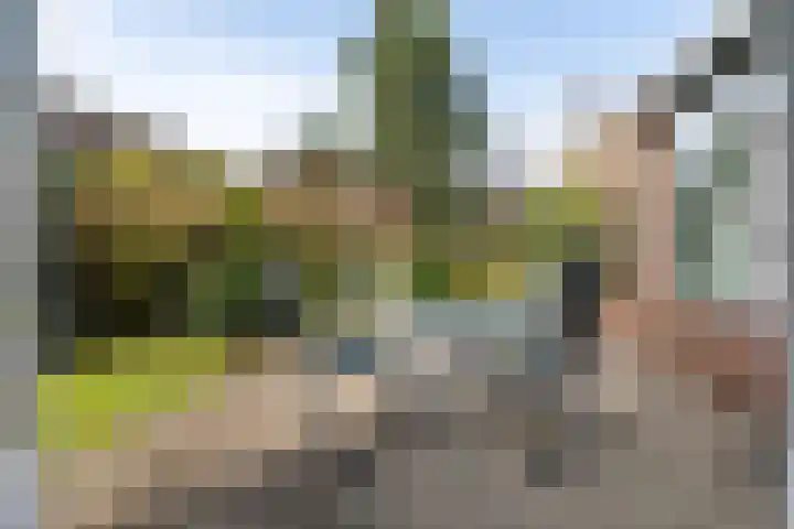 Hof 32 Bavel thumbnail 37