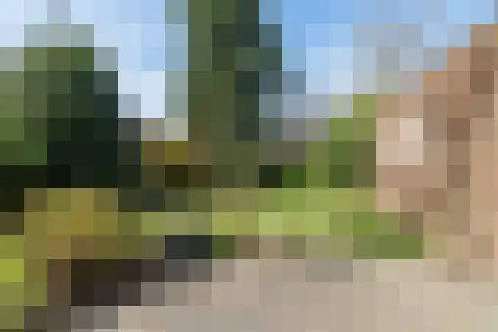 Hof 32 Bavel thumbnail 39