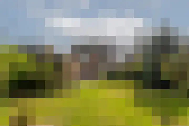 Hof 32 Bavel thumbnail 40