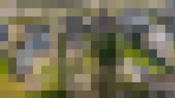 Hof 32 Bavel thumbnail 42