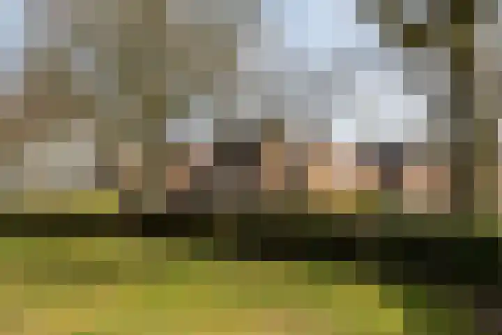 Hof 32 Bavel thumbnail 45