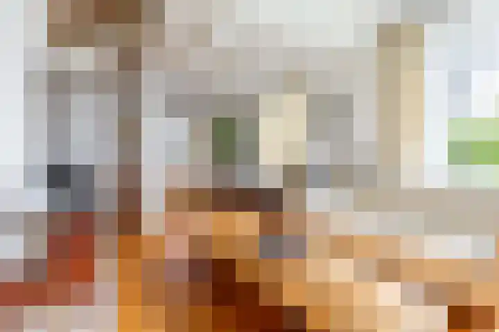 Hof 32 Bavel thumbnail 5