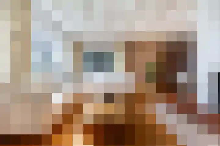 Hof 32 Bavel thumbnail 7