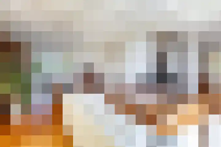 Hof 32 Bavel thumbnail 9