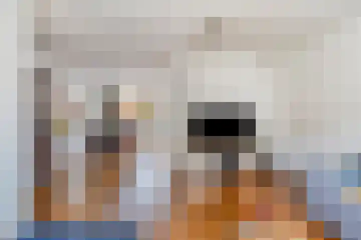 Hof 46 Dongen thumbnail 11