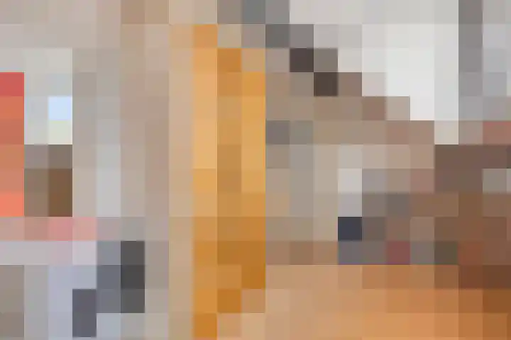Hof 46 Dongen thumbnail 26