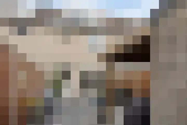 Hof 46 Dongen thumbnail 29