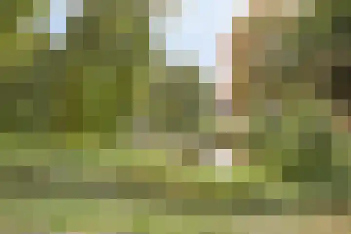 Hof 46 Dongen thumbnail 30