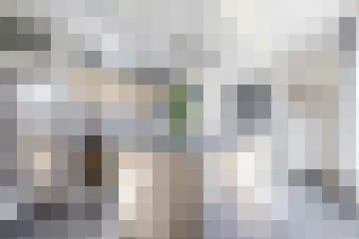 Hof 6 Meijel thumbnail 13