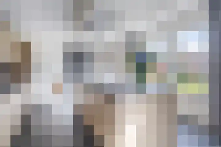 Hof 6 Meijel thumbnail 15