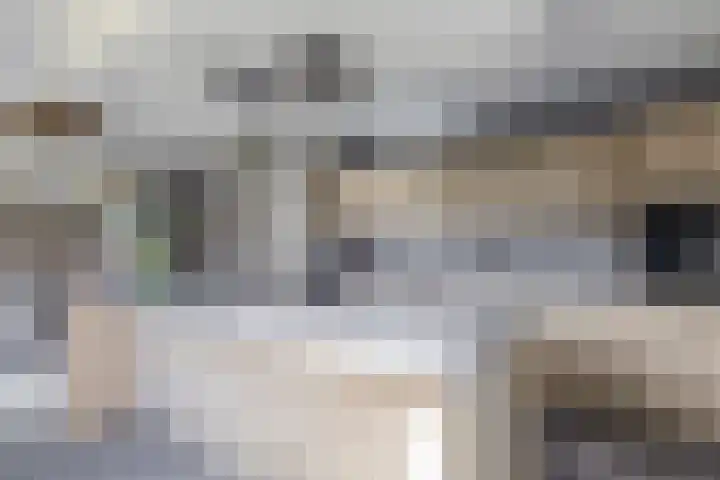 Hof 6 Meijel thumbnail 18
