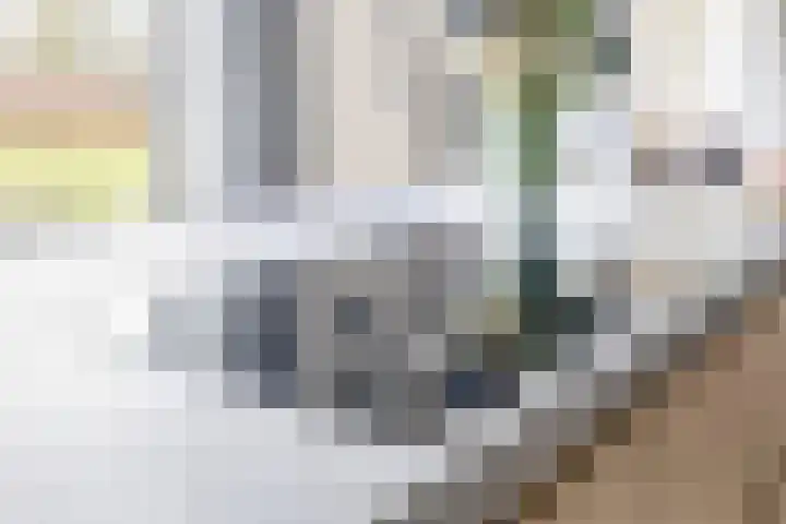 Hof 6 Meijel thumbnail 20