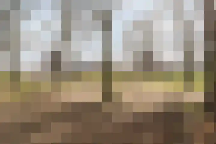 Hof 6 Meijel thumbnail 29
