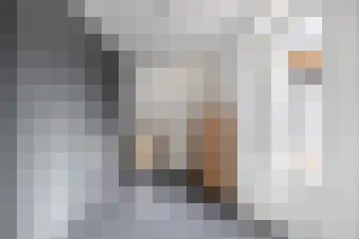 Hof 6 Meijel thumbnail 31
