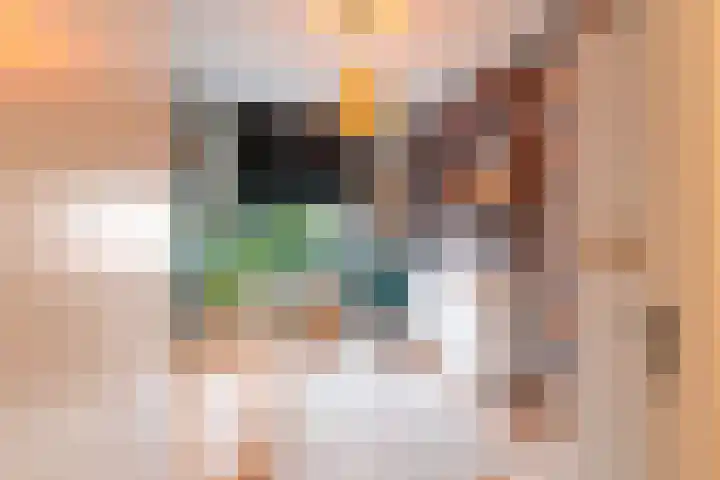 Hof 6 Meijel thumbnail 38