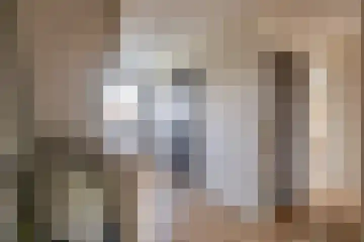 Hof 6 Meijel thumbnail 43