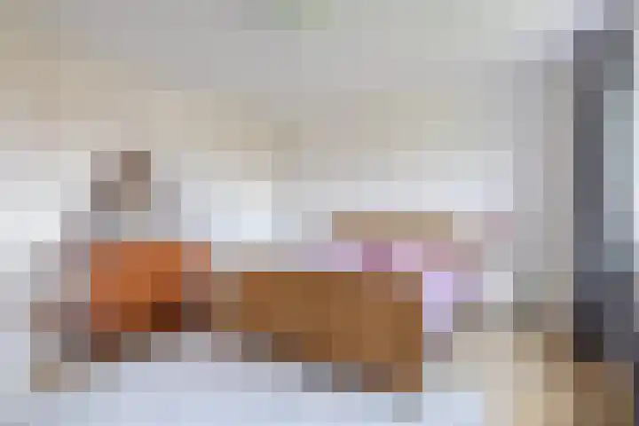 Hof 6 Meijel thumbnail 48
