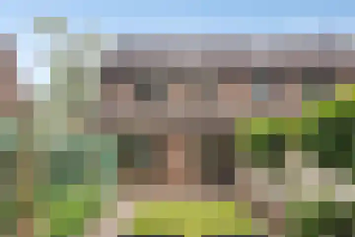 Hof 6 Meijel thumbnail 51