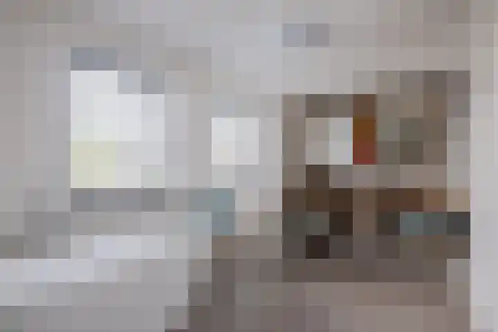 Hof 6 Meijel thumbnail 52