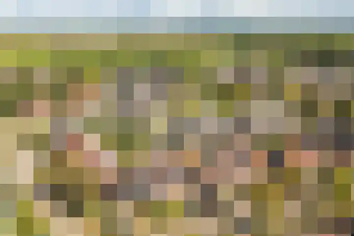 Hof 6 Meijel thumbnail 59