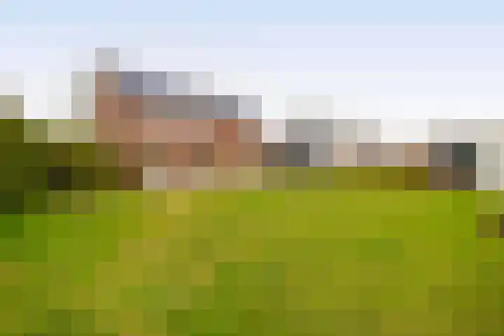 Hof 6 Meijel thumbnail 65