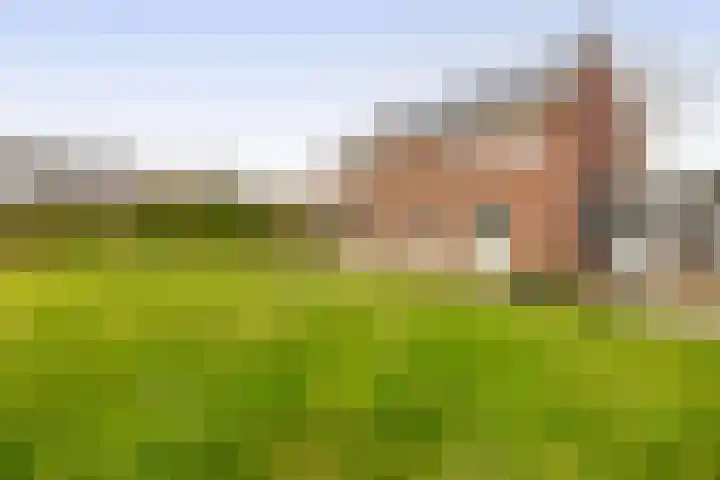 Hof 6 Meijel thumbnail 67