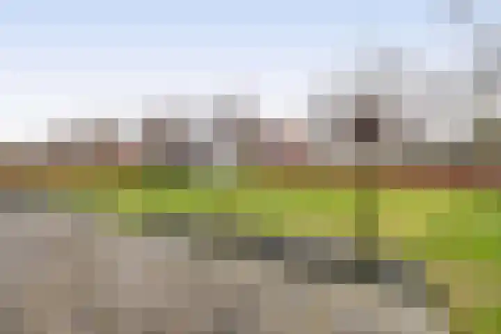Hof 6 Meijel thumbnail 69