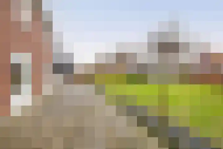 Hof 6 Meijel thumbnail 70