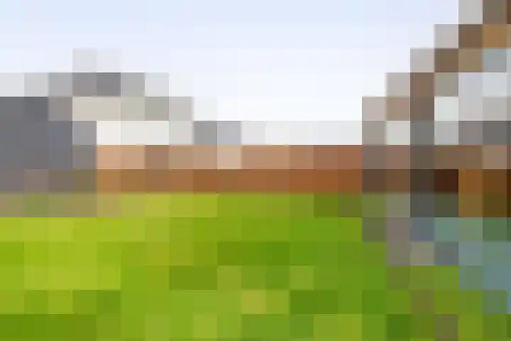 Hof 6 Meijel thumbnail 74