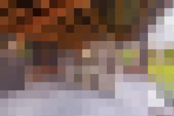Hof 6 Meijel thumbnail 77