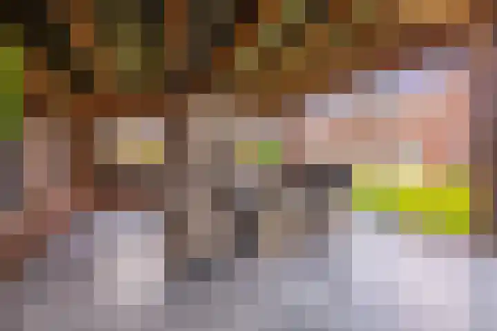 Hof 6 Meijel thumbnail 78