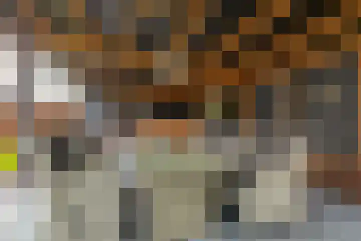 Hof 6 Meijel thumbnail 79