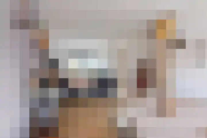 Hof 67 Dongen thumbnail 14