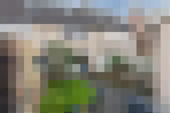 Hof 67 Dongen thumbnail 21