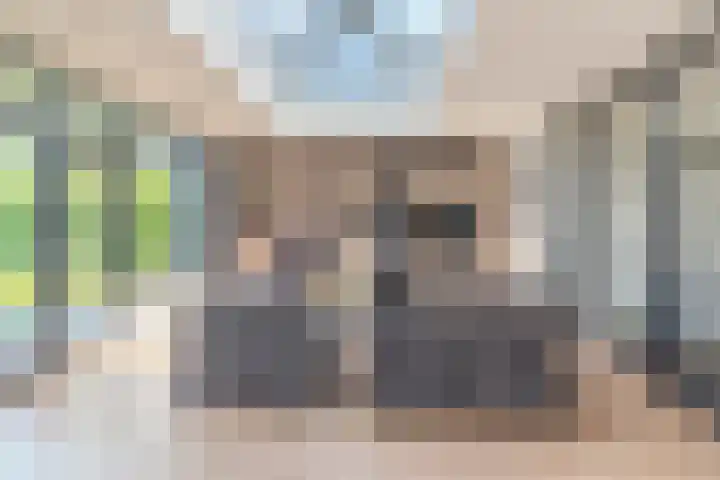 Hof 72 Dongen thumbnail 23