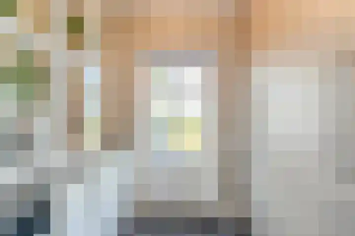 Hof 72 Dongen thumbnail 36