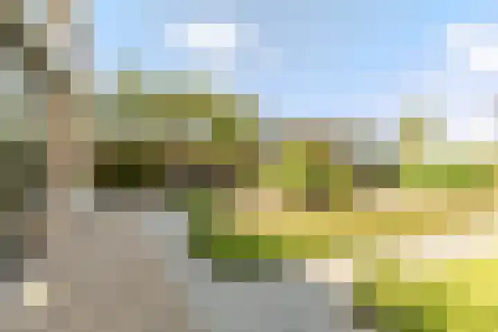 Hof 72 Dongen thumbnail 37