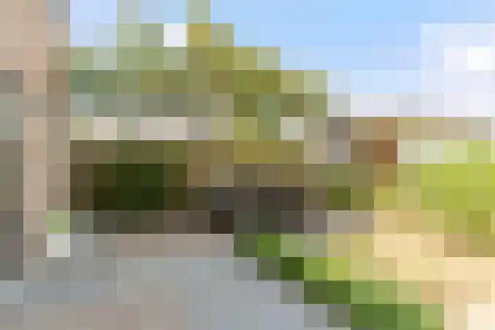 Hof 72 Dongen thumbnail 39