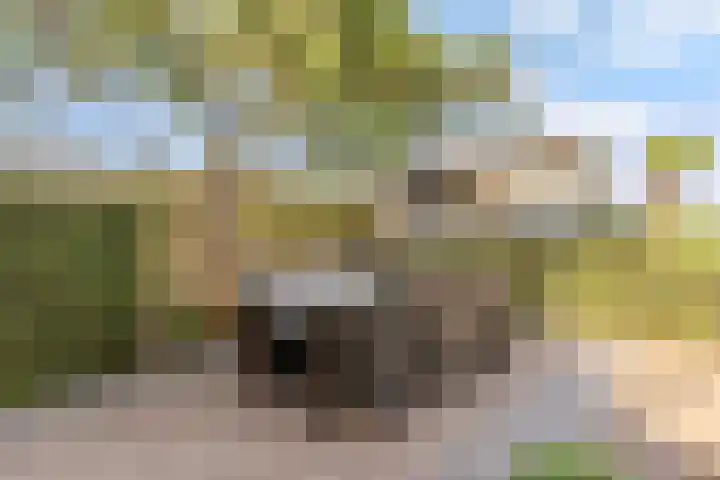 Hof 72 Dongen thumbnail 40
