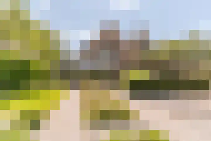 Hof 72 Dongen thumbnail 44