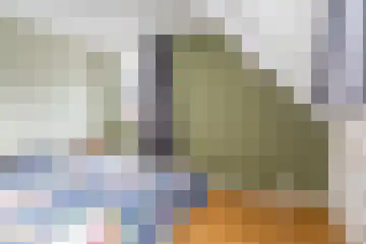 Hof 72 Dongen thumbnail 54